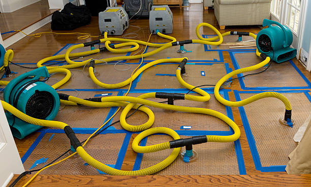 Professional Basement Flood Cleanup technician working in Croton-on-Hudson, NY